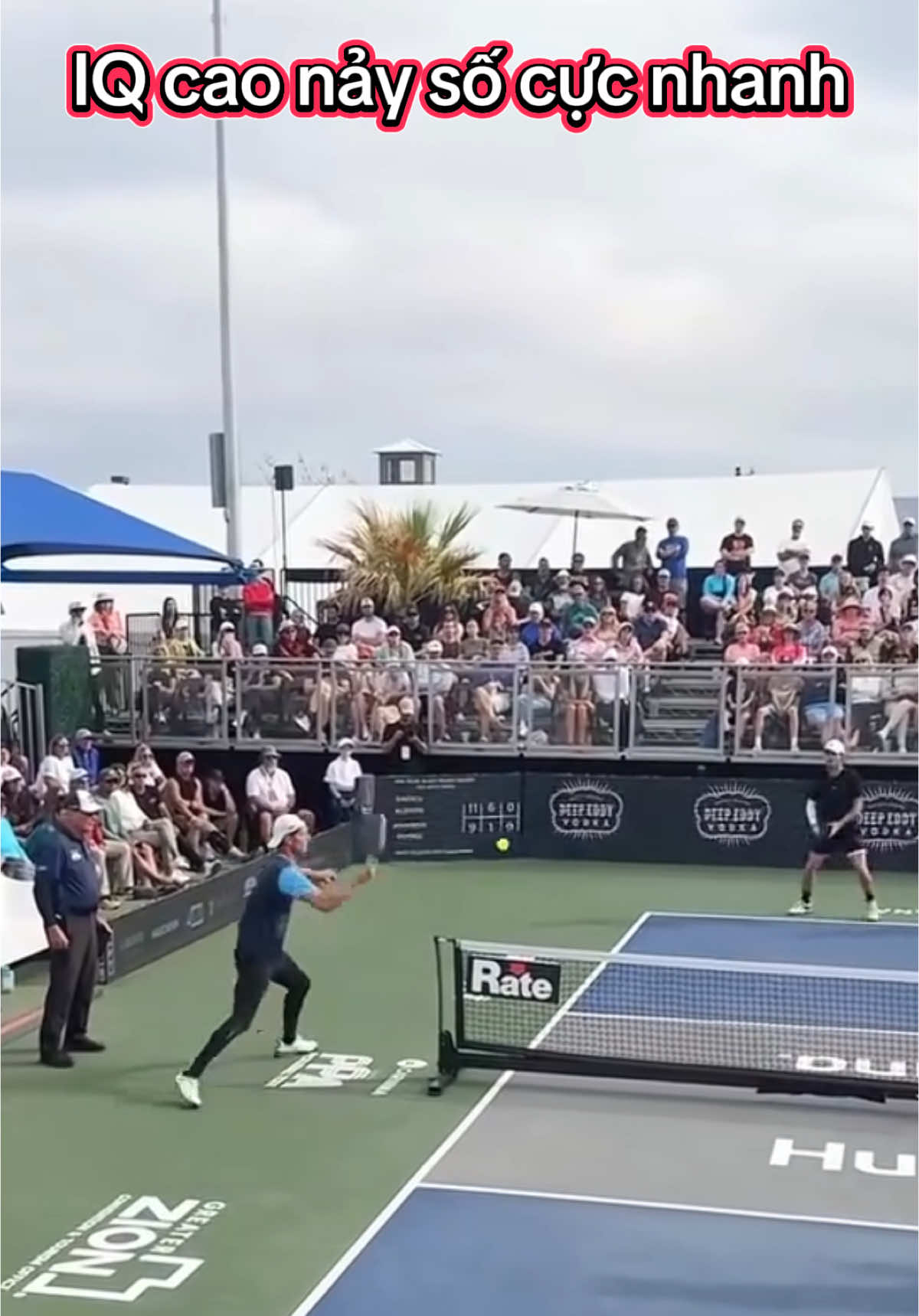 Pha bóng hy hữu, hiếm gặp... #pickleball #lovepickleball 