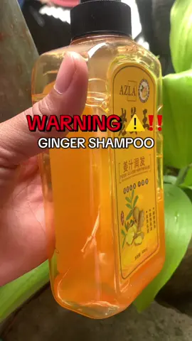 also my favorite shampoo! #organicshampoo #gingershampoo #shampoo #murangshampoongayon #trendingshampoo 