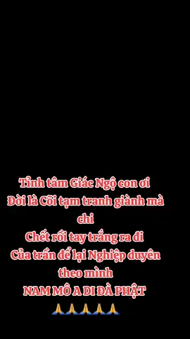 NAM MÔ ĐẠI TỪ ĐẠI BI CỨU KHỔ CỨU NẠN QUÁN THẾ ÂM BỒ TÁT 🪷 NAM MÔ A DI ĐÀ PHẬT 🪷🪷🪷🪷 #phatphapvadoisong #phatphapnhiemmau  #phatphapvobien  #Phatotrongtam 