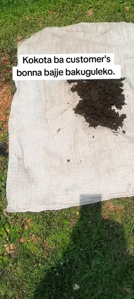 #Foryoupage  #fyyyyyyyyyypppppp 