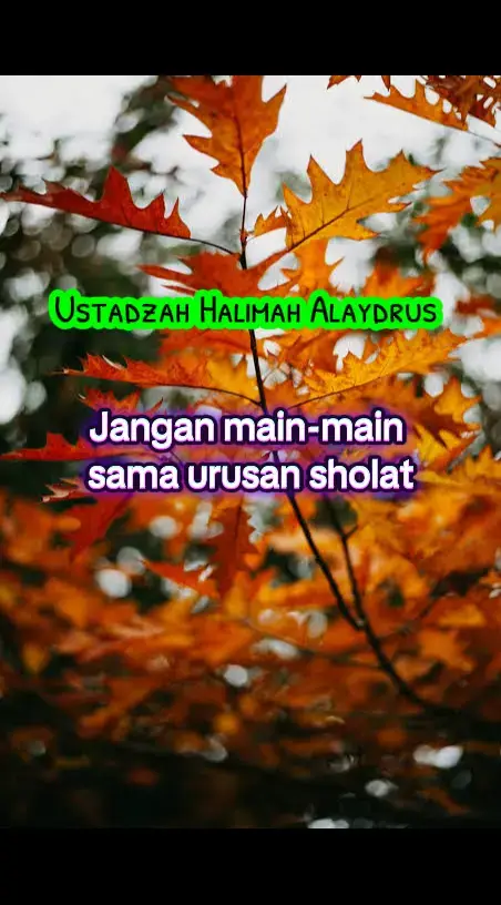 #ustadzahhalimahalaydrus❤️ #ustadzahhalimahalaydrus #halimahalaydrus 