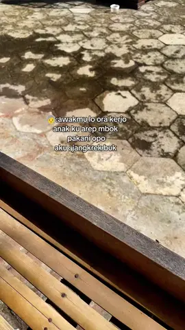 esuk 5 sore 5 biasane pon gacor  #cendetjatim #cendetmaniaindonesia #cendetmania #kicaumaniaindonesia  #kicaumania 