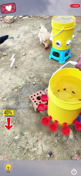 Bebedero automático para gallinas, ¡adiós al agua sucia!   #gallinasfelices #farmlife #poultrycare #aviculture #fyp #viral
