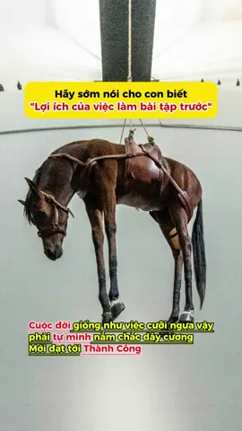 Trong quá trình trưởng thành của mỗi đứa trẻ, đều nên có bộ sách này để định hướng đúng đắn, giúp con tự rèn luyện tính tự giác và kỷ luật. #bingobooks #daycondungcach #dayconthongminh #leedoboclkvj #fyp 
