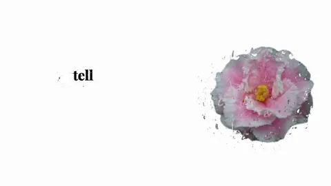 Tell your Baby im your Baby I bet on lossing dogs#songs #musik #growmyaccount #fyp 