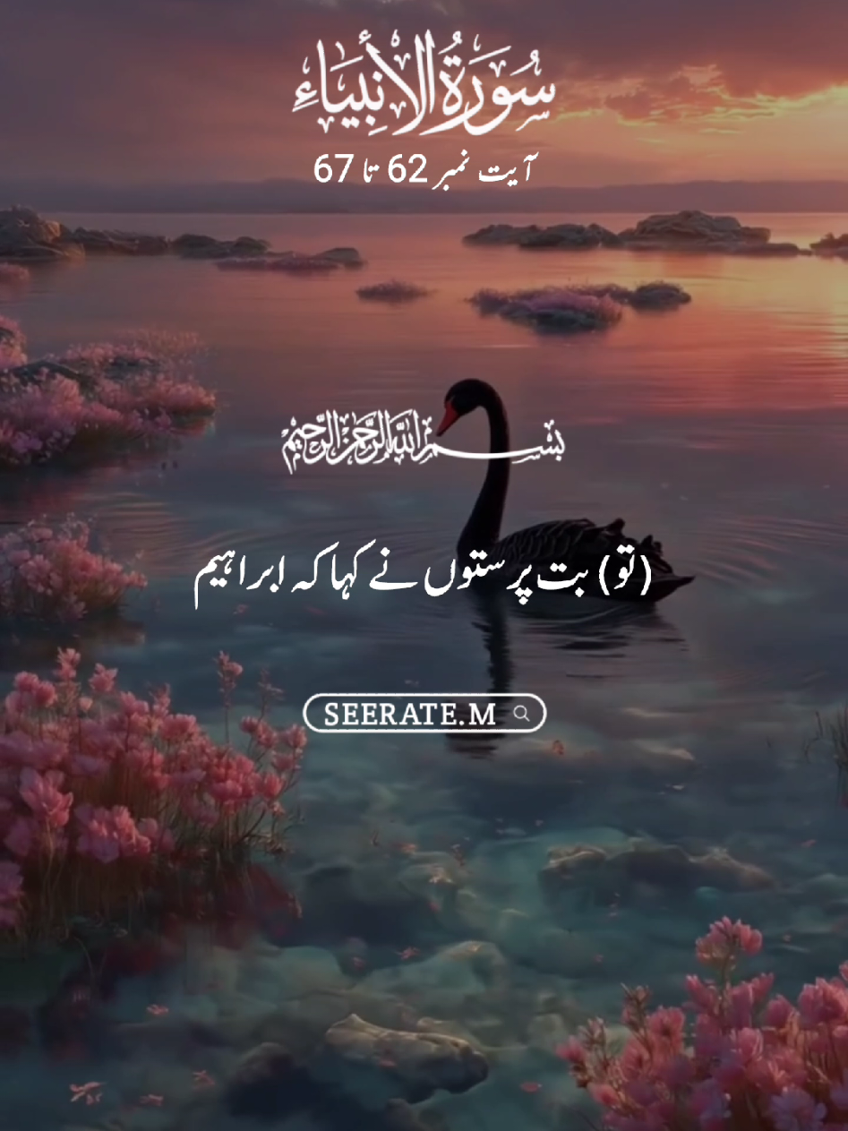 Quran kareem with translation 😍  surat ul anbiya ayat no 62 to 67 #quran #hadees #islam #seerate_m #viral 