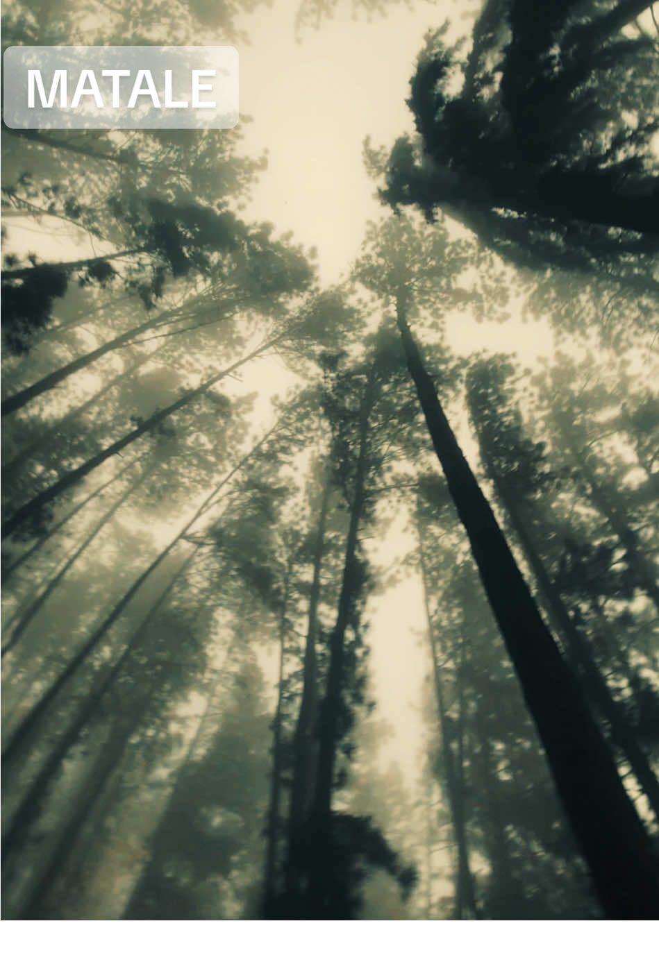 #matale #sembuwattalake 