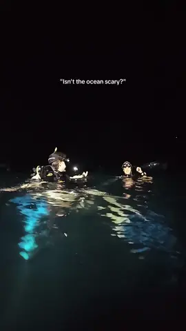 Diving with @Black Turtle Dive on Koh Tao, Thailand 🤿 #kohtao #scubadiving #fyp #ocean #thalassophobia 
