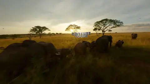 destinee tours intro video #adobepremiere #uganda #visituganda #tranding #fyp 