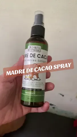See with your own eyes how this Madre de Cacao helped my dog’s skin problem. #madredecacao #woundsprayfordogs #madredecacaoforpets #dog 