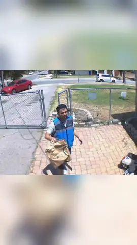 Chased by a dog😂 #dog #puppy #dogsoftiktok #courier #usa #fyp 