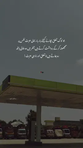 Reality!🖤🫠#foryou #urdushayari #viralvideo #asthetic #aliwrites_90 