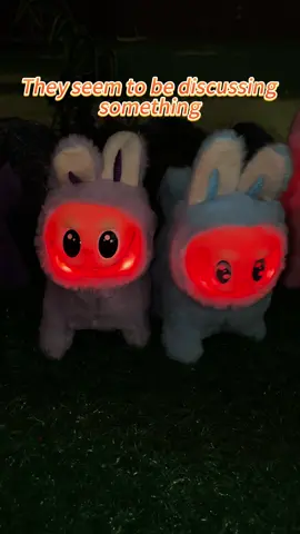 Did I buy it right?🌚#labubu #fyp #labubumonster #labubuv3 #toy 