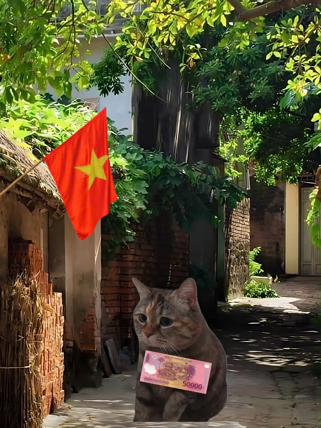 Món quà nhỏ của mẹ #meme #memeyellowcat