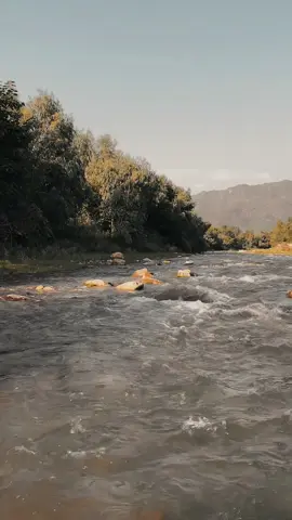 بد نصیبی مئ دہ سکون مے پہ طرف نہ رازي 🥹💔#sadpoetry #fypシ゚viral #100kviews 