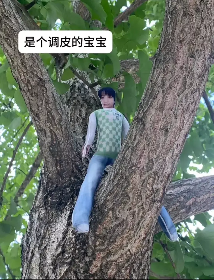 ចុះមកប្ដី😔😔#wanglujie #tffamily_4th_generation #tffamily 