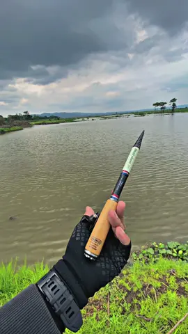 Ikan hanya minum tidak makan #mancing #tanago #waderhunter #tegekcustom #smallclever #microfishing 
