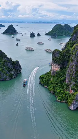 UBND tỉnh QN Nâng cao chất lượng đội tàu du lịch trên Vịnh Hạ Long.             Hiện, tàu tham quan trên Vịnh Hạ Long có những tiêu chí đặc biệt. Bên cạnh các quy định về an toàn, bảo vệ môi trường được thực hiện theo quy định và thông tư của Nhà nước, thì các tàu này còn phải đảm bảo các yêu cầu như: Trang bị các trang thiết bị giám sát hành trình, camera giám sát hai bên mạn, mũi tàu bảo đảm hoạt động liên tục, kết nối đồng bộ với hệ thống thông tin quản lý, điều hành hoạt động tàu du lịch; hệ thống chữa cháy cố định (CO2), hoặc thiết bị tương đương cho buồng máy; thiết bị phân ly dầu nước trong buồng máy có công suất phù hợp và bảo đảm chất lượng nước la canh sau xử lý đạt hàm lượng dầu không quá 15mg/lít; hệ thống xử lý nước thải sinh hoạt đảm bảo quy chuẩn QCVN 14/2008; máy phát điện có công suất đảm bảo hoạt động các thiết bị trên tàu. Ngoài ra, tàu cũng cần phải sơn trắng toàn tàu đảm bảo thẩm mỹ trong thời gian hoạt động. Tàu du lịch đóng mới vỏ thép có quy mô lớn hơn, nâng cao điều kiện an toàn kỹ thuật và bảo vệ môi trường, có chất lượng, tiêu chuẩn, kiểu dáng kiến trúc sang trọng, hiện đại, chất lượng dịch vụ cao, đáp ứng nhu cầu của du khách. Đối với tàu lưu trú, các điều kiện cũng giống như tàu tham quan. Bên cạnh đó, còn có các yêu cầu riêng như: Đạt tiêu chuẩn 3 sao trở lên theo TCVN 9372:2012; trang bị ít nhất 1 bình bột chữa cháy loại tối thiểu 2 kg/bình cho mỗi phòng ngủ…. Ngoài ra từ tháng 9/2019 đến nay, Vịnh Hạ Long đã nói không với sản phẩm nhựa dùng 1 lần. Theo đó, các du khách tham quan khi sử dụng dịch vụ thăm Vịnh Hạ Long sẽ không được mang các loại sản phẩm nhựa dùng 1 lần như: Chai nhựa đựng nước, túi ni lông... lên phương tiện chở khách và các điểm dịch vụ trên vịnh.#vinhhalong #halong #duthuyenhalong #viralvideo #tintuc 