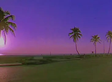 Miami Vice #Miami #miamivice #80s #nostalgie #estetik #vaporwave #synthwave 