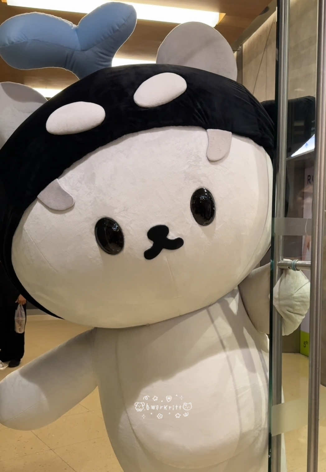 ซังเดินกลับมาคุยกับคุณยาย  คุณยายรักซังมากกกกกก 😭💖 #POLCASAN #โพก้าซัง 