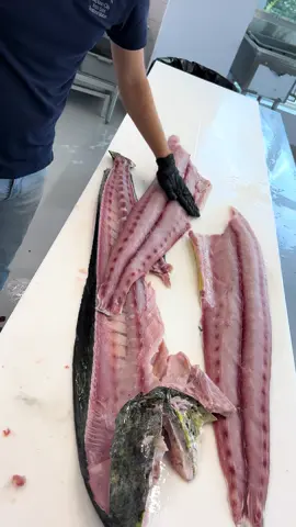 NOAA’s reports suggest less than 10% of Dolphin (Mahi) consumed in the U.S. is actually harvested in the U.S. 🔪 Cut with @Dexter Outdoors 