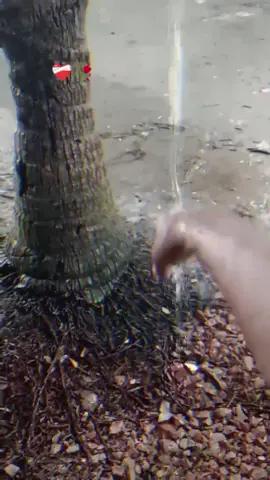 #🌸☘️🌸😂😅🌸☘️🌸🍀🥰🥰🌸🍀🌸☘️😍😍🌸☘️🌸🍀🐱💝♥️🥰🤣🌸☘️🌸🍀🌸🍀 