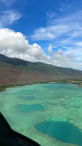 #hawaii 