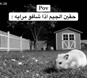 #فار #ذبات #الحميا🇸🇦 #تورتيا #جيم 