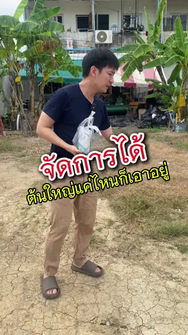 ต้นใหญ่แค่ไหนก็เอาอยู่ #ผงกําจัดไผ่#สารกําจัดต้นไม้#เครื่องมือกําจัดวัชพืช#สารกําจัดวัชพืช#สารกําจัดหญ้า