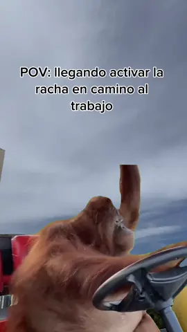 la rachaa #CapCut #racha #videoviral #humor #viral      '          