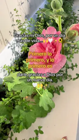 #masha🌸 