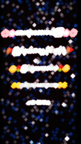 #🖤👻triendမှီသေးလား?🖤👻 #ဘေးဖယ်နေကြဟေ့အရူးတေတက်လာပီ😍😅 @🥰BÄ ĜÝÏ ÃÜÑĜ🥰☪မြိုင်နယ်သား☪#ငါ့viewတွေဘယ်ရောက်နေကြလဲ🌚🤧 #ငါ့ကြဘာလို့viweမတက်တာလဲ😟😞😞 #