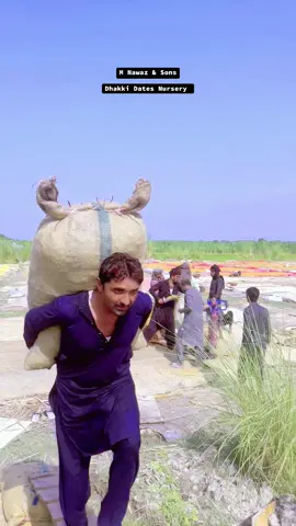 الحمدللہ چھوارا سیزن 2025 مال کی تیسری کھیپ کی لوڈنگ #foryou #foryoupage #foryoupageofficiall #dhakki #dates #khajoor #deraismailkhan #kpk #pakistan #sakhar #sindi #sindh #viral #viralvideo #viraltiktok #capcut 