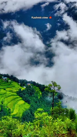 #kashmirwithstand🥴🥰 #fypシ゚viral🖤tiktok☆♡🦋1millionviewsmyvideo #foryou #100kviews @TiktokPakistanOfficial 