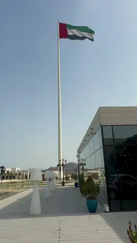 #اكسبلورexplore #الشعب_الصيني_ماله_حل😂😂 #كلباء