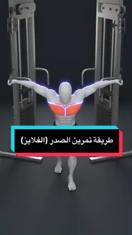 أفضل طريقة لتمرين الصدر بالكابل فلاي 💪🔥 في هذا الفيديو أوضح لكم الطريقة الصحيحة لأداء تمرين الكابل فلايز (Cable Flys) لتضخيم وتقوية عضلة الصدر بشكل مثالي. تمرين أساسي يساعدك في إبراز تفاصيل عضلات الصدر وزيادة الضخامة. تابع الفيديو للنهاية عشان تتعلم الأداء الصحيح وتتجنب الأخطاء الشائعة 👌 لا تنسوا الاشتراك بالقناة وتفعيل الجرس عشان يوصلكم كل جديد 🔔 تمارين صدر, كابل فلاي, chest workout, cable fly, تضخيم الصدر, بناء العضلات, gym workout, تمرين صدر, تمارين كمال أجسام, chest exercise, cable crossover #تمارين_صدر #chest_workout #cablefly #gym #Fitness    