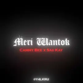 #flypシ #vuralvideos❤️🎶🙂👑 Love the song🫶🇵🇬❤️