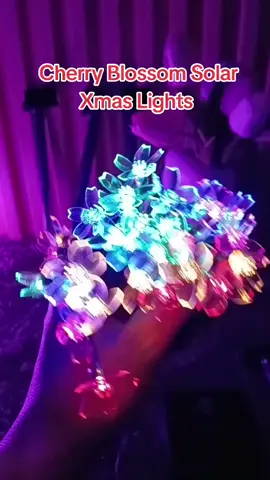 Cherry Blossom Solar Christmas light #christmaslights #flowersolarlight #solarchristmaslights #solar #fyp 