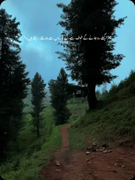 کچھ لوگوں نے اپنی بد زبانی چپھانے کے لیے بلڈ پریشر کو بدنام کیا ہوا ہے .” 🙂🌼 #care #foryoupage #unfreez #viewsproblem #mountains 