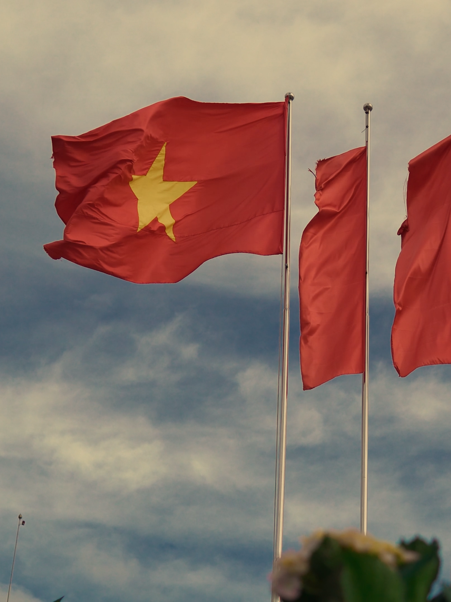 Tâm ta ở đâu thì đó chính là nhà. #sony #sonyalpha #cinematic #travel #vietnam #quockhanh2025 #yeuvietnam