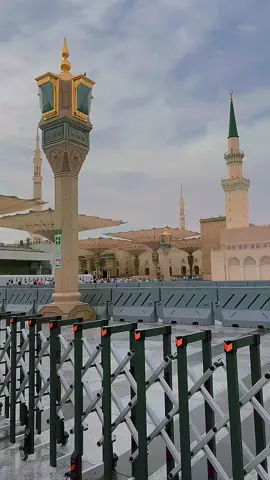 Mashallah Medina❣️❣️❣️❣️