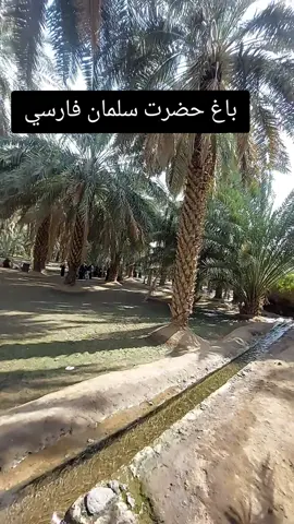 #madina #zubairinmadinah #hazratsalmanfaarsi #ziyarat #saudiarabia🇸🇦 