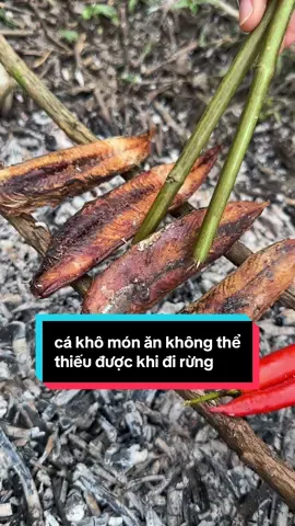 anh chị có biết vì sao cá khô luôn là món ăn không thể thiếu được của bà con vùng cao bản em, mỗi khi đi rừng không vậy, ngày hôm nay cùng em lên rừng để tìm hiểu nhá #maylinhyenbai #cuocsongvungcao #dantocmong #dirung #taybac 