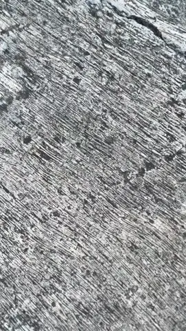 std cah 😁 #mxking #mxsolostyle #fyp 