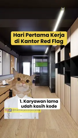 kantor netcing se-red flag apaa? spill dongg #corporatelife #catmeme 