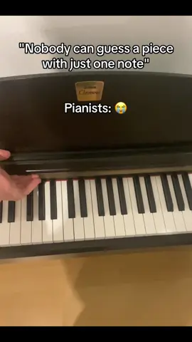 Can you guess the piece? #piano #guessthesong #pianoplayer 