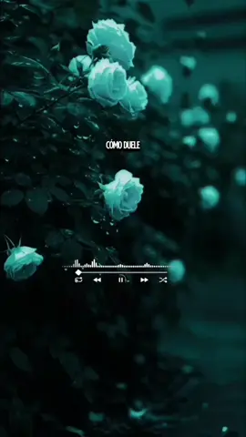 Cómo duele-Ricardo Arjona 🎧✨️❤️‍🩹 #lamejor_musica❤️🎧  #comoduele  #ricardoarjona   #letradecanciones  #musica_4parati