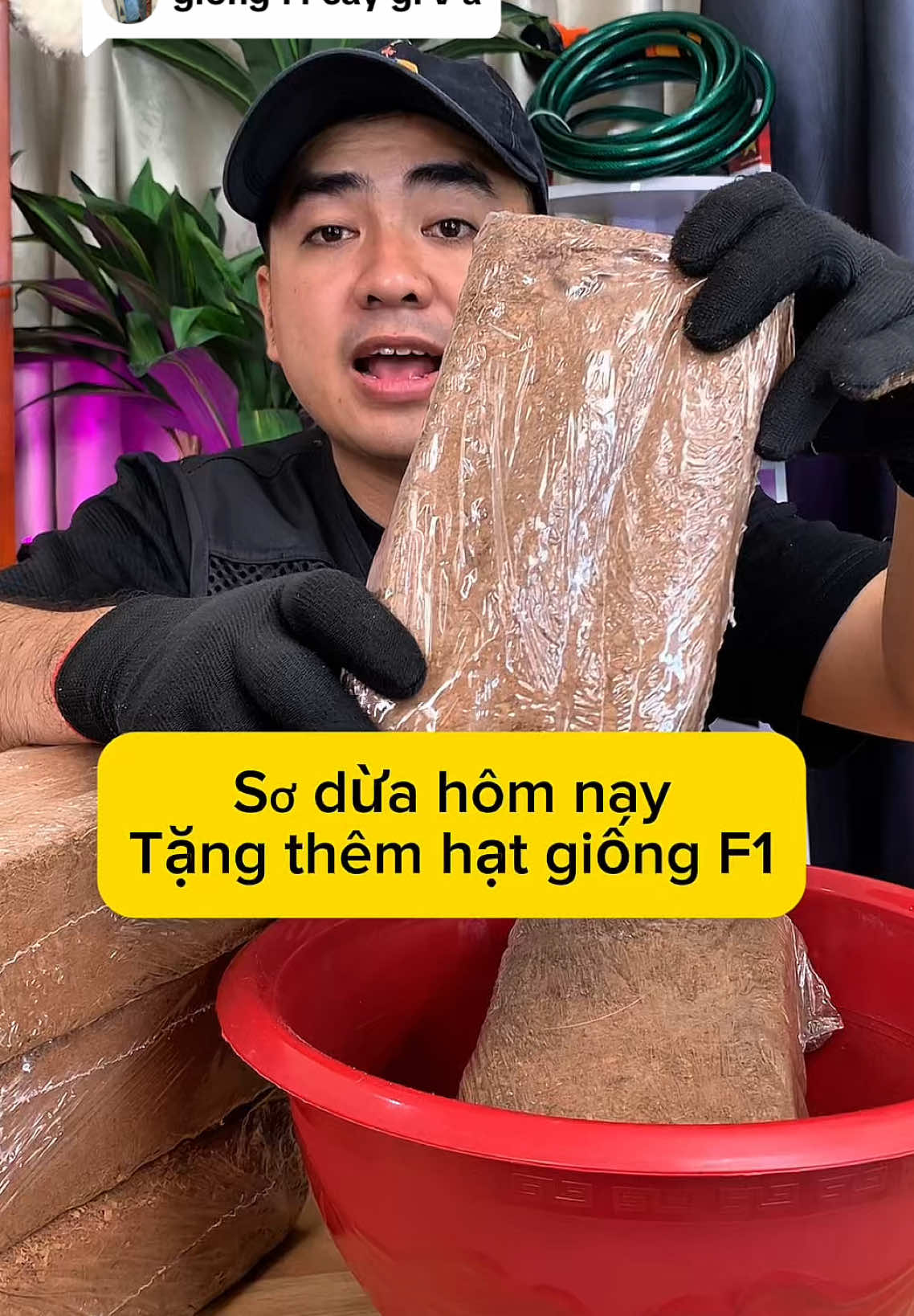 Trả lời @chen combo sơ dừa tặng kèm hạt giống rau f1