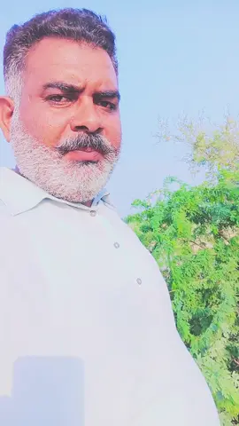 پی ٹی آئی ٹیگرو لو یو #chachasaraiki1 