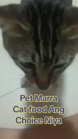 Pet Marra Cat food the number 1 Cat Food  #petmarra  #petsupplies  #petlover #petaccesories 